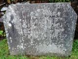 image of grave number 582559